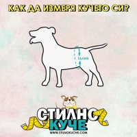 Хигиенни дрехи Хигиенна дреха за куче Гащи за куче Хигиенни гащи за куче Кучешки гащи дрехи, снимка 12 - За кучета - 27041725