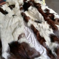 Продавам палто от котка , снимка 1 - Палта - 42080228