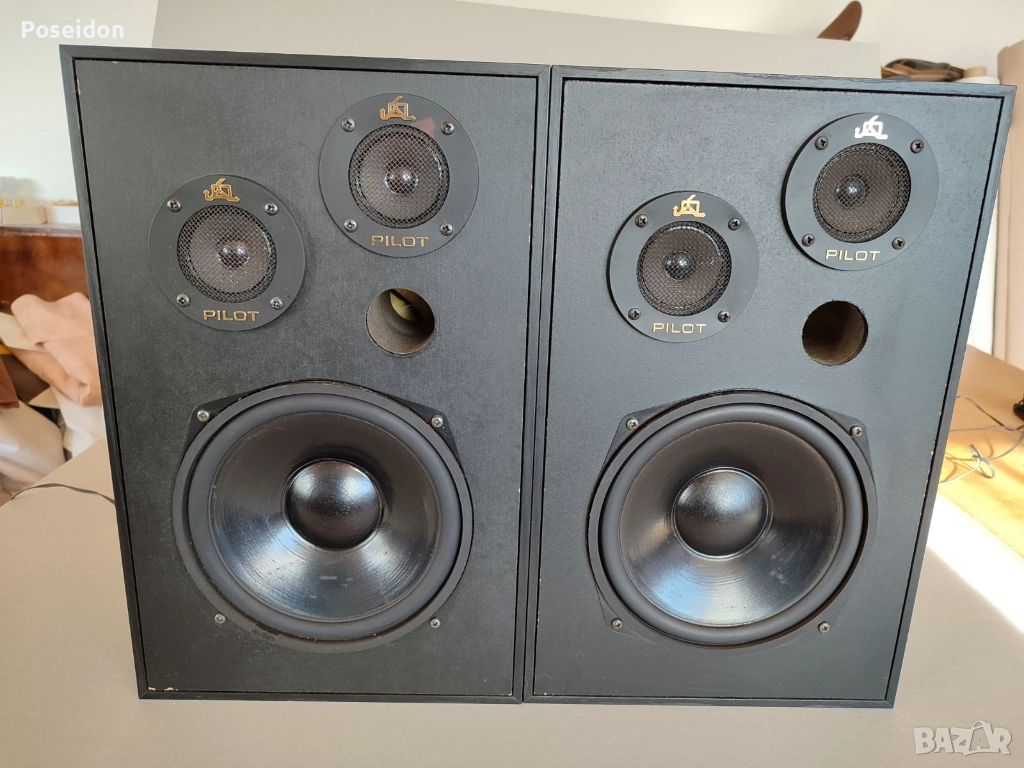 Тонколони Pilot SB 260 PCM, снимка 1