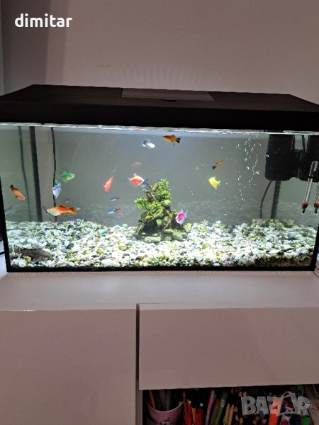Аквариуми  54л, снимка 1
