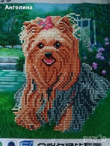 Диамантени гоблени, снимка 1