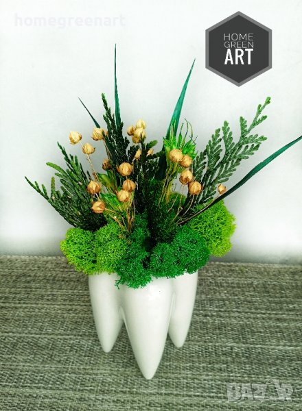 Кашпа ЗЪБ със скандинавски мъх и други растения , снимка 1