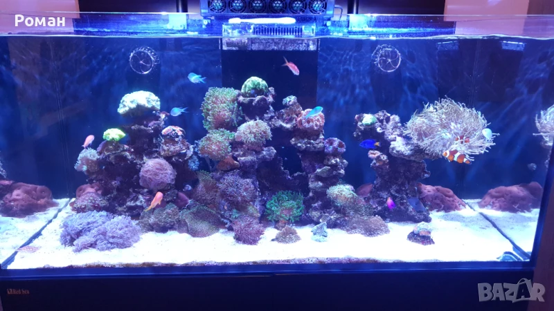 Аквариум Redsea Reefer 420 xl v1, снимка 1
