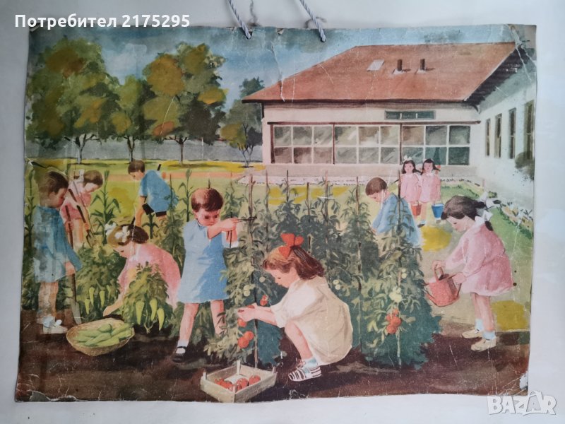 учебни табла-илюстрации помагала от шейсетте години (1960-1970 г.), снимка 1