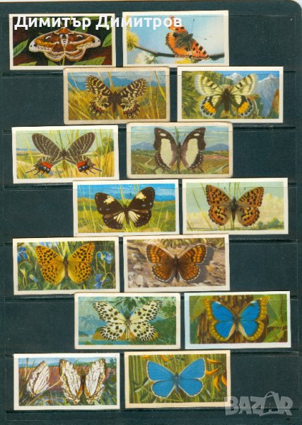 Пеперуди - 24 бр.стари английски чаени картички, снимка 1