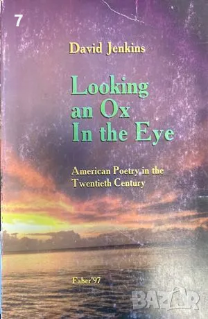 Looking an Ox In the Eye-David Jenkins, снимка 1