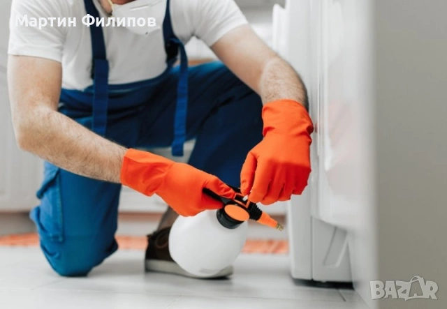 Унищожаване на хлебарки , снимка 2 - Други услуги - 53264316