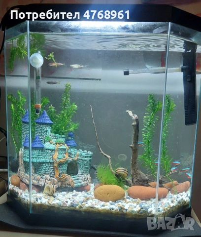 Аквариум 25 л с рибки и охлюви – готов за живеене!
