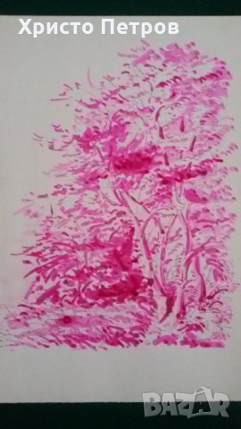 ГРАФИКА ЦВЕТНА - ВИТОША, БГ АВТОР, снимка 2 - Картини - 35157329