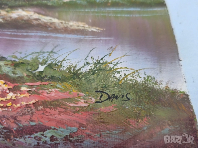 Платно маслени бои, снимка 3 - Картини - 52371989