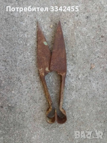 Ножица за стригане на овце, снимка 2 - За селскостопански - 51032414