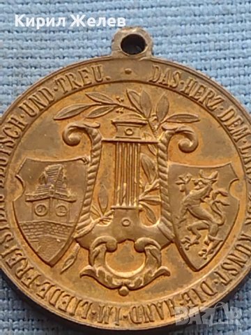 Рядък медал GRAZ 1902г. Уникат за КОЛЕКЦИОНЕРИ 38556, снимка 4 - Антикварни и старинни предмети - 42726076