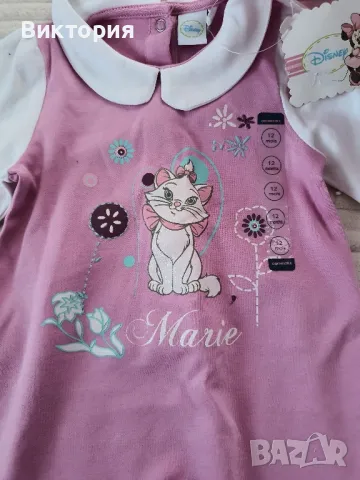 Розов гащиризон