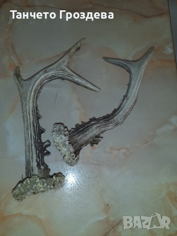 трофейчета, снимка 2 - Други ценни предмети - 44419139