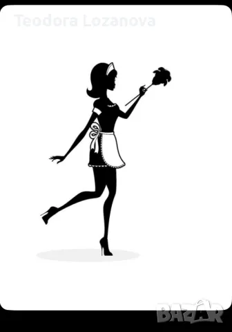 Професионално почистване на апартаменти в София , снимка 2 - Почистване на домове - 49645845