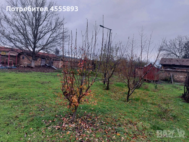 Къща с двор в село Иванча обл. Великотърново, снимка 10 - Къщи - 52687355