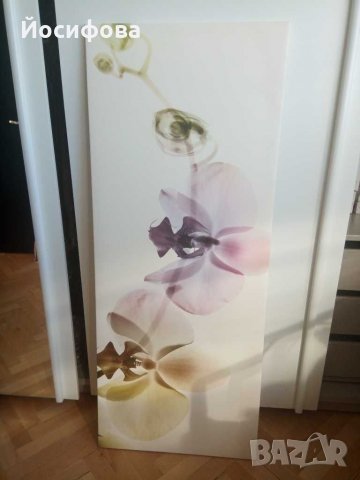 пано Орхидеи - ново! , снимка 2 - Пана - 29988260