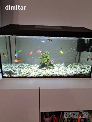 Аквариуми  54л, снимка 1