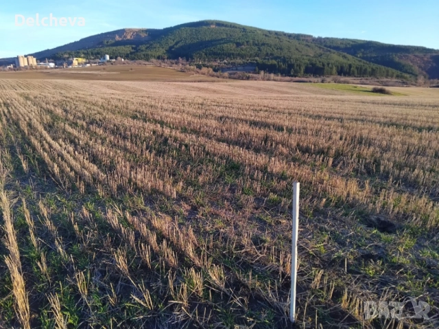 Земеделска земя област Перник, град Батановци 4451кв.м, снимка 6 - Земеделска земя - 52595651