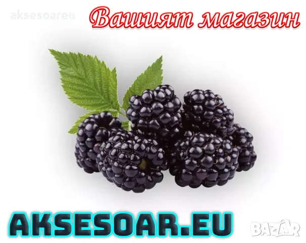 Висококачествени нови семена от хранителна Къпина без бодли Rubus rusticanus 50+ семена антиоксидант, снимка 3 - Сортови семена и луковици - 49257573