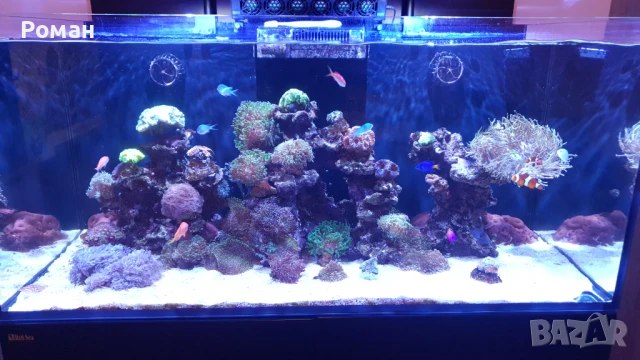 Аквариум Redsea Reefer 420 xl v1