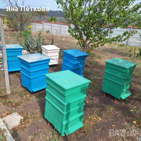 Пчелни кошери, снимка 9 - За пчели - 42386210