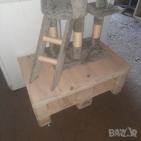 Котешка катерушка мострена, снимка 2 - За котки - 51046367