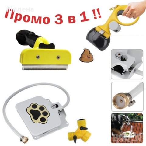 Грижа, игра и хигиена за вашето Куче