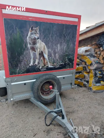 Ремарке за лов и риболов, снимка 6 - Ремаркета - 48356415