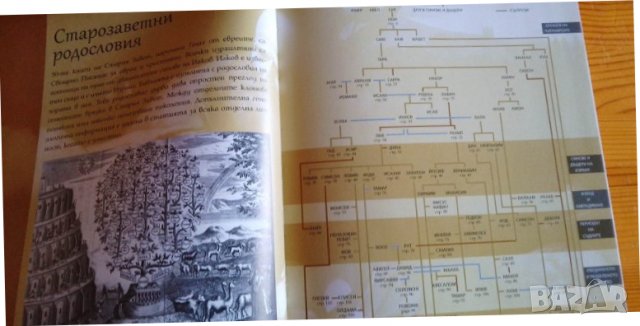100-те най-въздействащи личности от Библията - Р. П. Нетълхорст, снимка 3 - Художествена литература - 39753302
