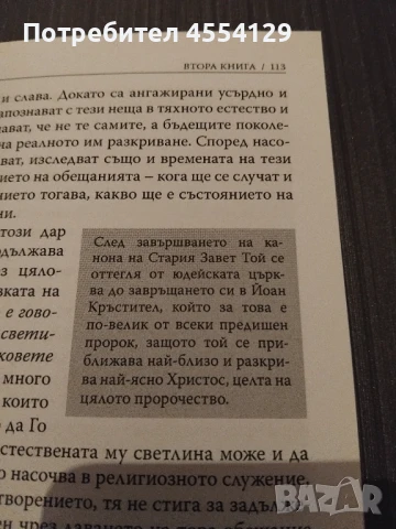 Святия Дух, снимка 5 - Художествена литература - 51331574