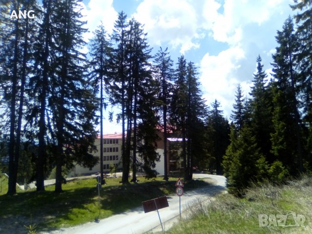 Продава парцел в к.к. Пампорово , снимка 10 - Парцели - 36934032