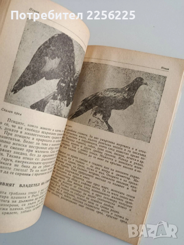 Горски свят, снимка 3 - Специализирана литература - 54300596