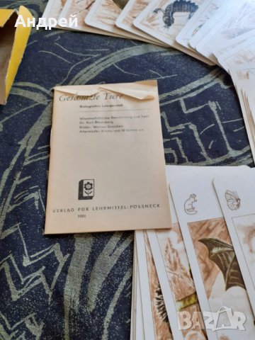 Стари детски карти за игра #4, снимка 4 - Антикварни и старинни предмети - 30048266