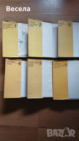 Емил Зола - произведения в 6 тома, снимка 2 - Художествена литература - 54121758