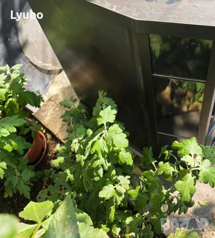 Камина с водна риза 25KW , снимка 2 - Камини - 55980190