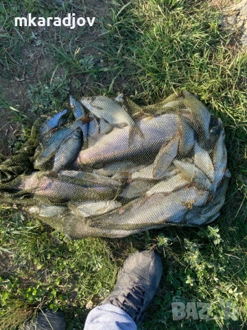 каравана къмпинг, снимка 11 - Каравани под наем - 51315068