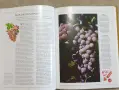 Голям справочник - вината по света / The New Illustrated Guide to Wine, снимка 5