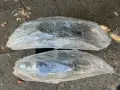 Стъкла за фарове Honda Accord 8 - 2009 ,2010 ,2011, 2012, 2013, снимка 4