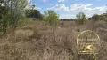 парцел УПИ град Димитровград кв Черноконево, снимка 2