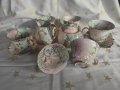 Сервиз за кафе и чай от фин (костен) порцелан, снимка 5