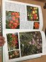 Енциклопедия A-Z of Annuals, Biennials & Bulbs (Successful Gardening), снимка 13