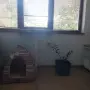 Пластмасова саксия, снимка 2