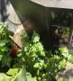 Камина с водна риза 25KW , снимка 2
