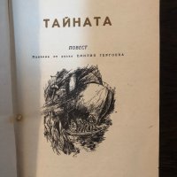 Тайната-Константин Бадигин , снимка 2 - Детски книжки - 33876816