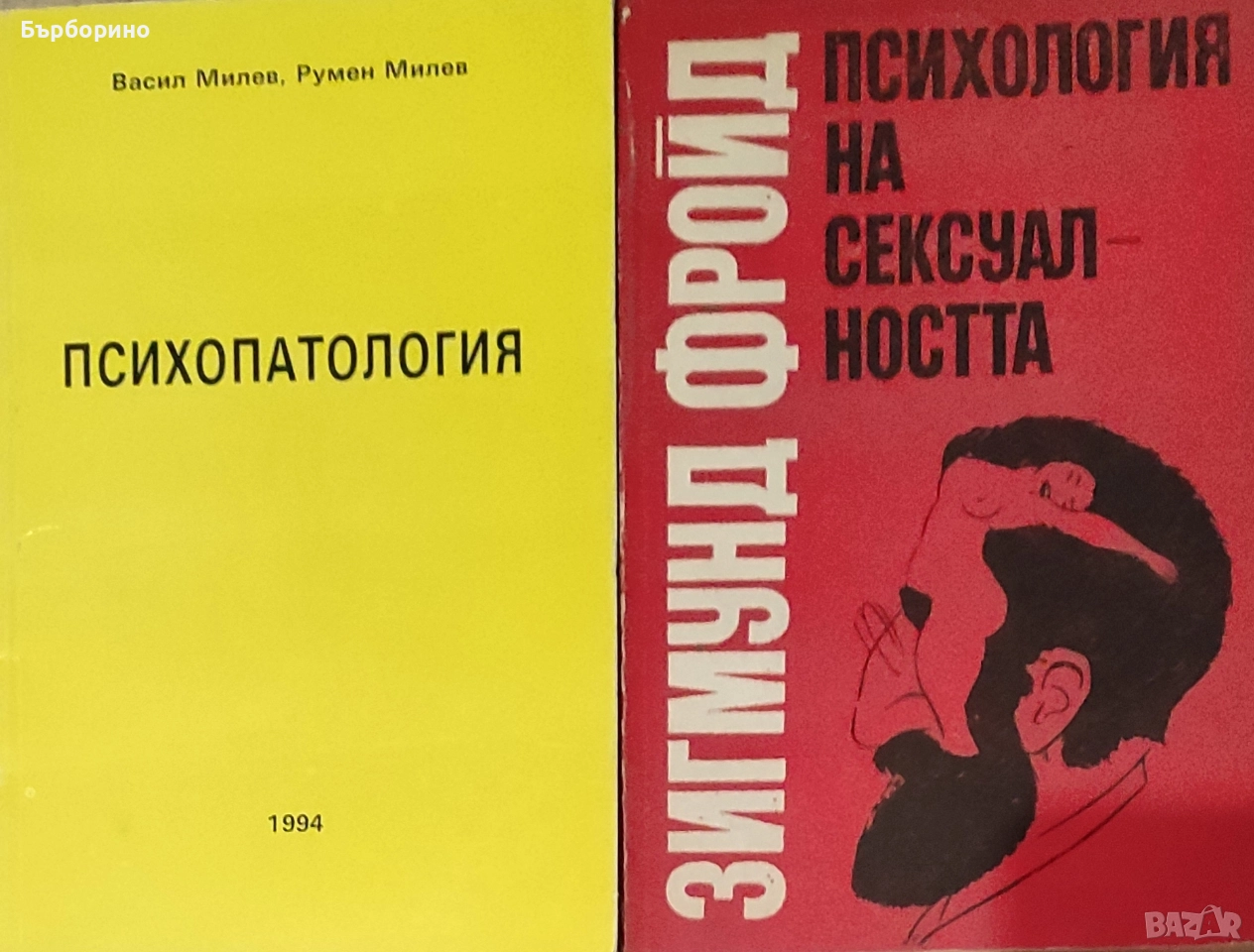 Зигмунд Фройд-Психология.Психопатология, снимка 1