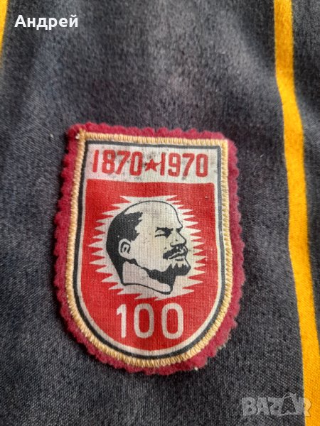 Стара Училищна емблема, снимка 1