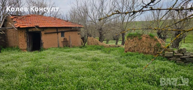 Къща село Елена , снимка 5 - Къщи - 54309460