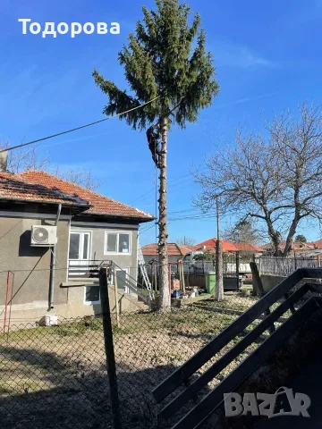 Рязане и премахване на опасни дървета, снимка 7 - Други услуги - 55735563