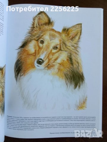 Изкуството да рисуваш в цвят, снимка 3 - Специализирана литература - 50694818